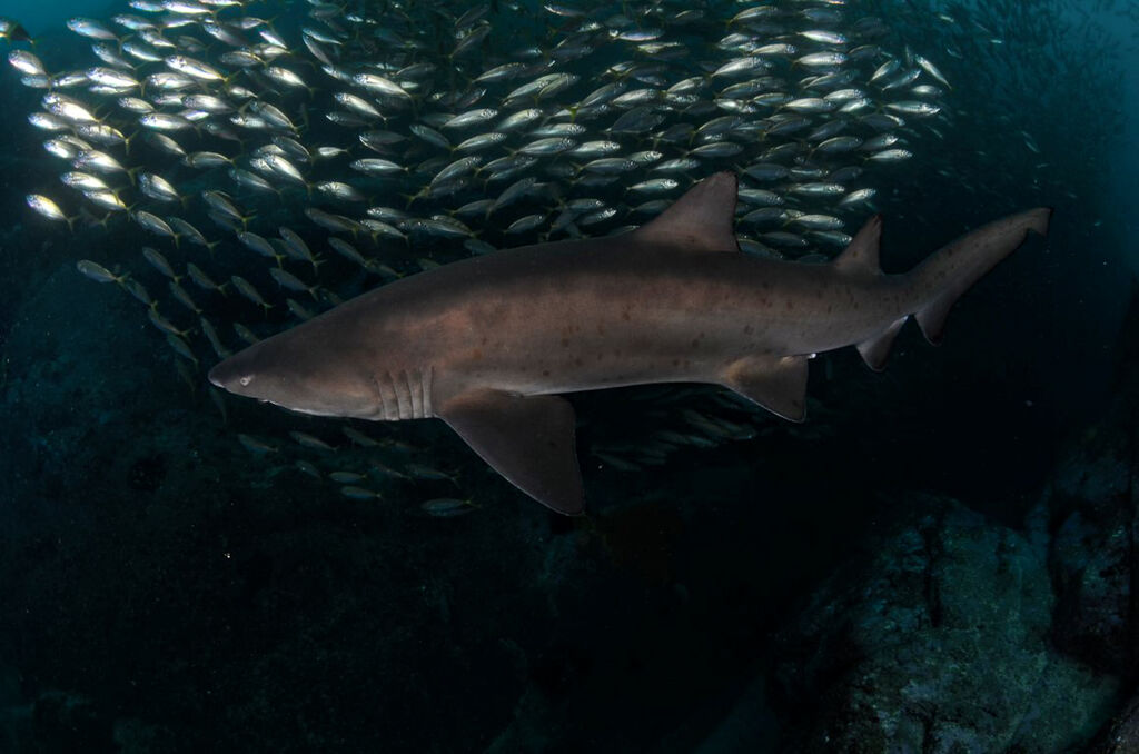 9c45598b-cc2b-4044-ae31-f01db54d2aa6