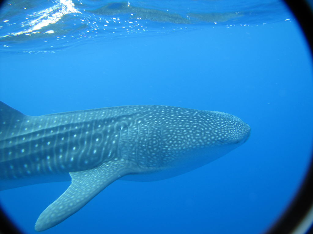 54045405-e146-4622-8037-4b982ae71bca