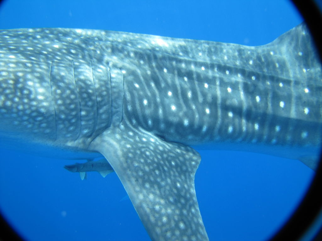 54045405-e146-4622-8037-4b982ae71bca