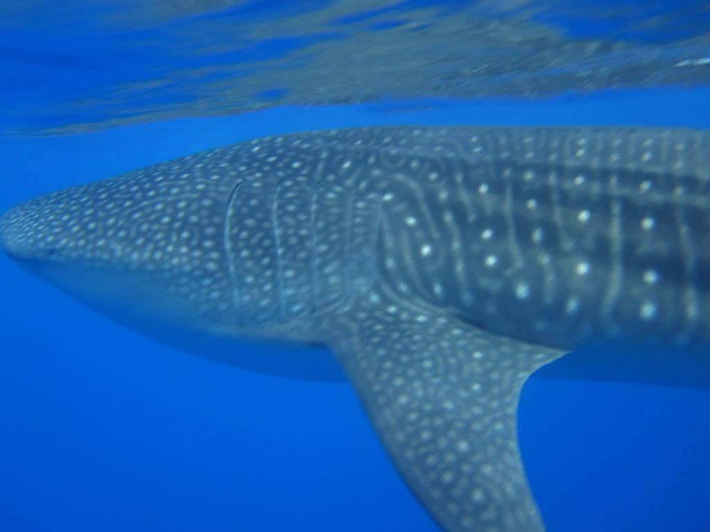 54045405-e146-4622-8037-4b982ae71bca