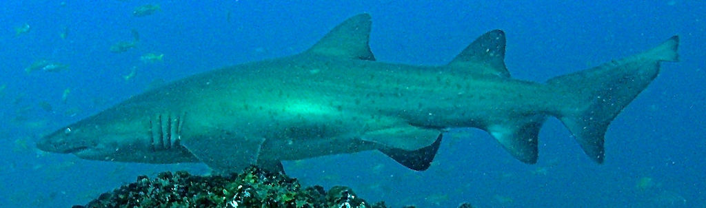 df013a55-cced-4f77-ac4d-94b021b8e8fc