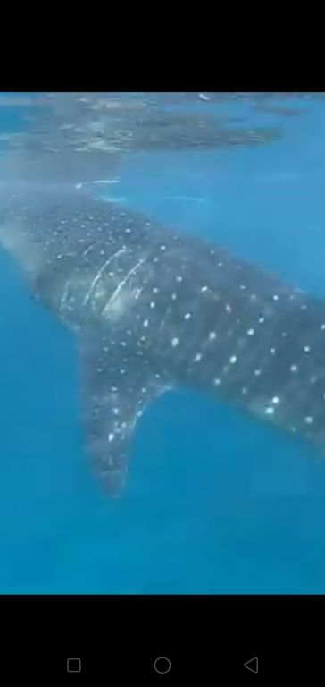 9ee0dc06-c105-4880-b59e-c9778a1d7396