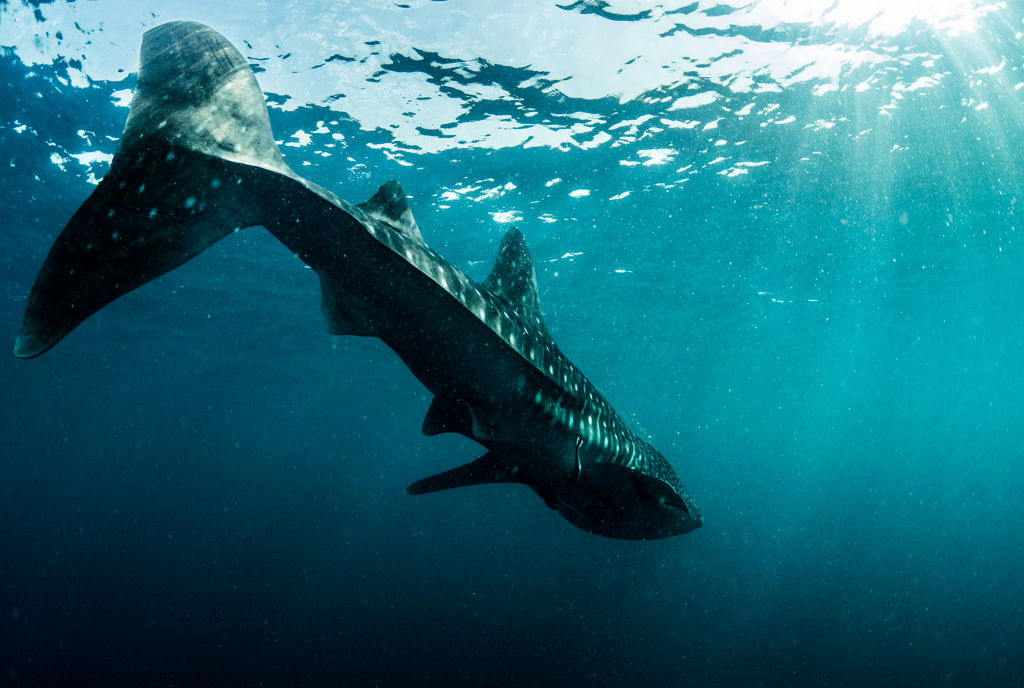 8b906fa7-5c41-4502-b9bf-aae9fb0e69f2