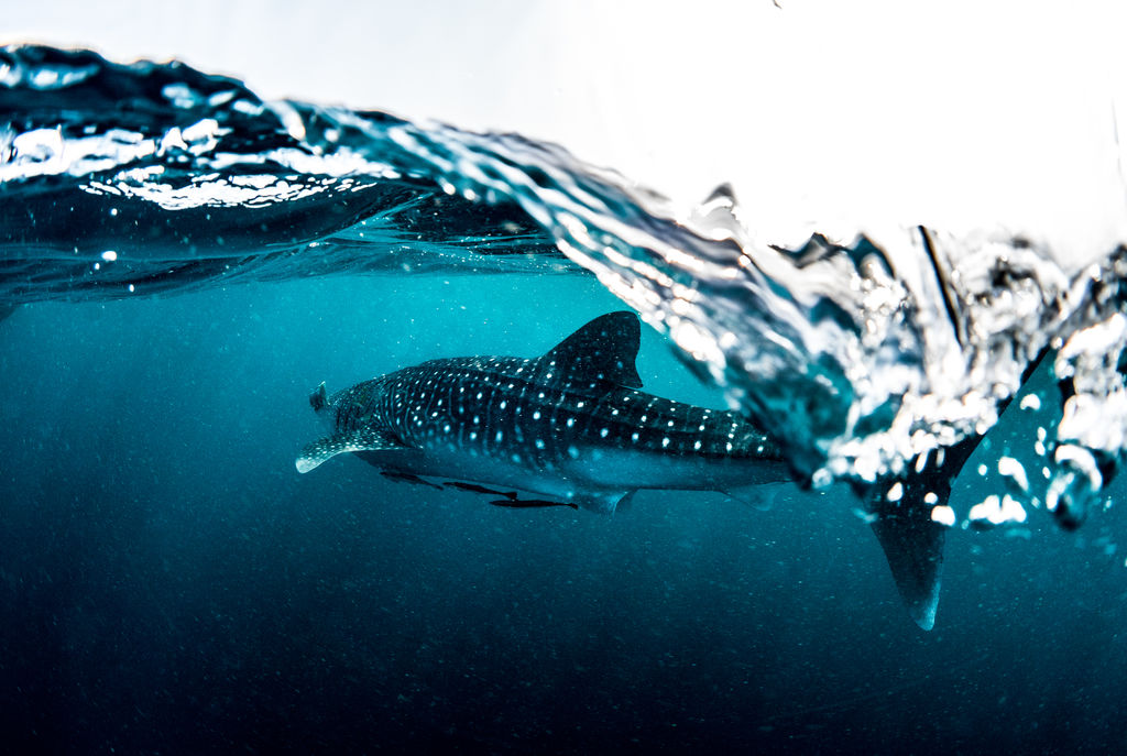 8b906fa7-5c41-4502-b9bf-aae9fb0e69f2