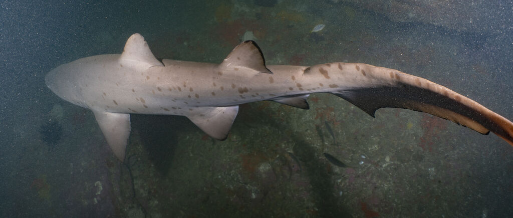 7eb45a5a-7440-4d3c-a7fe-8e6a25db21fb