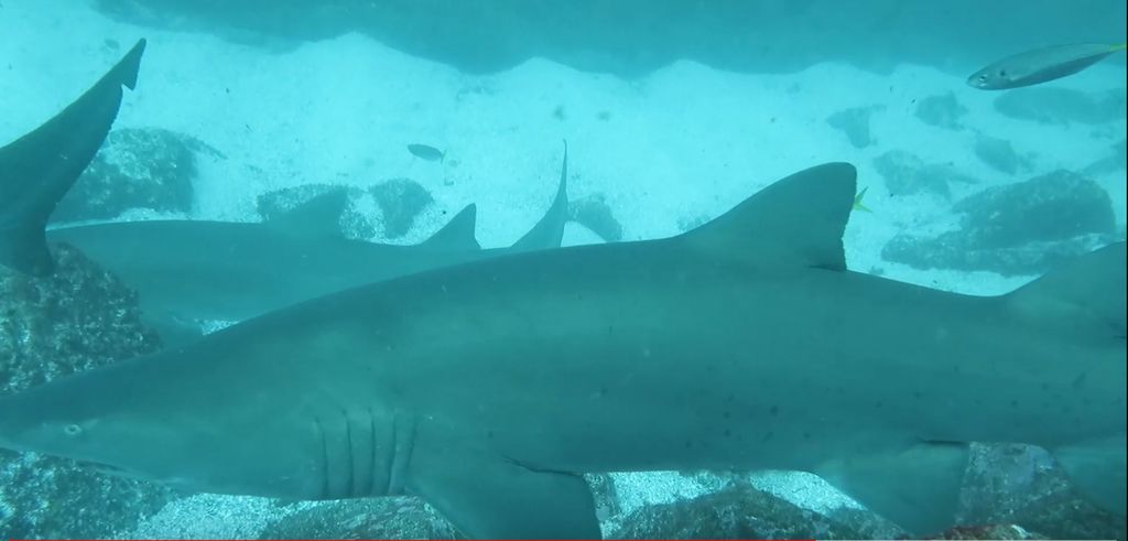 a8b3f6ab-fd66-4587-91e7-180d7d33fbd4