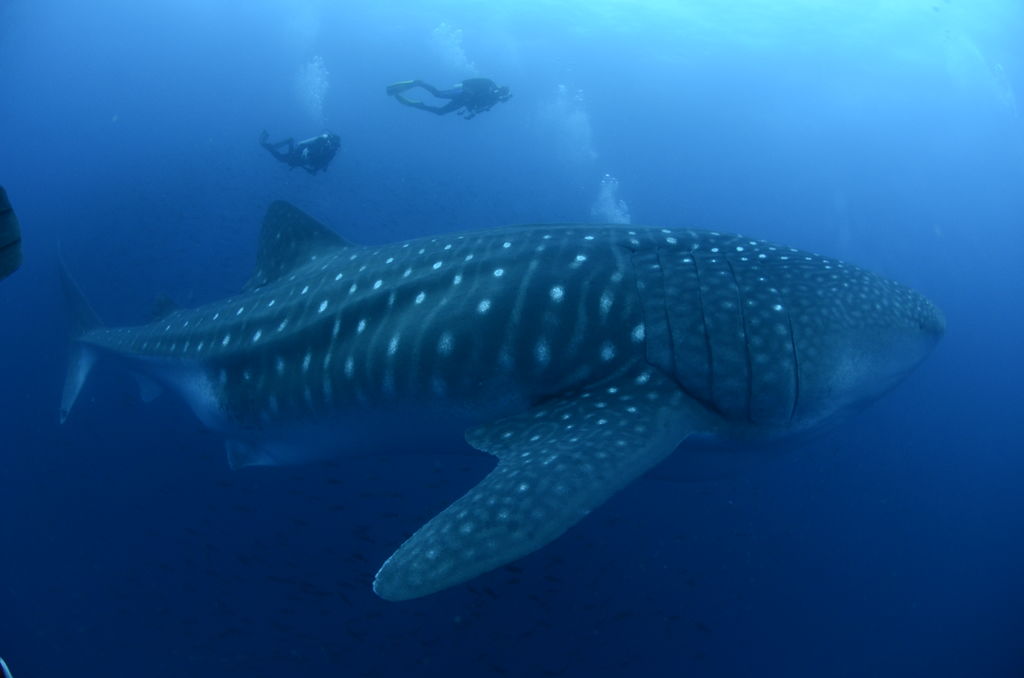 dbaf9f9d-fcc3-441c-ae3a-bb9d80e9ac92