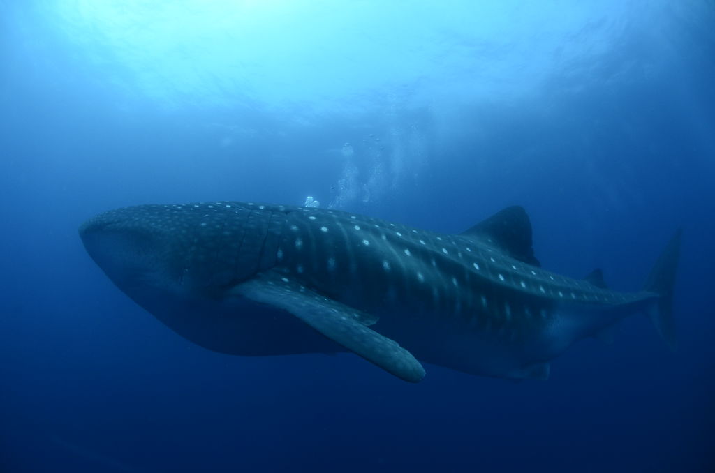 dbaf9f9d-fcc3-441c-ae3a-bb9d80e9ac92