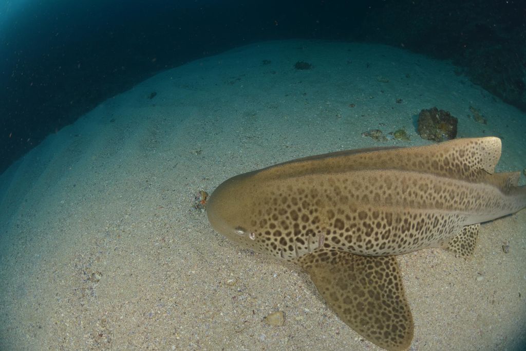 dde8757c-456d-4a76-8567-1aa76542d964