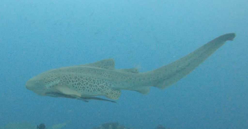 a64e1910-32ce-48bc-a25f-aa815fceba8a