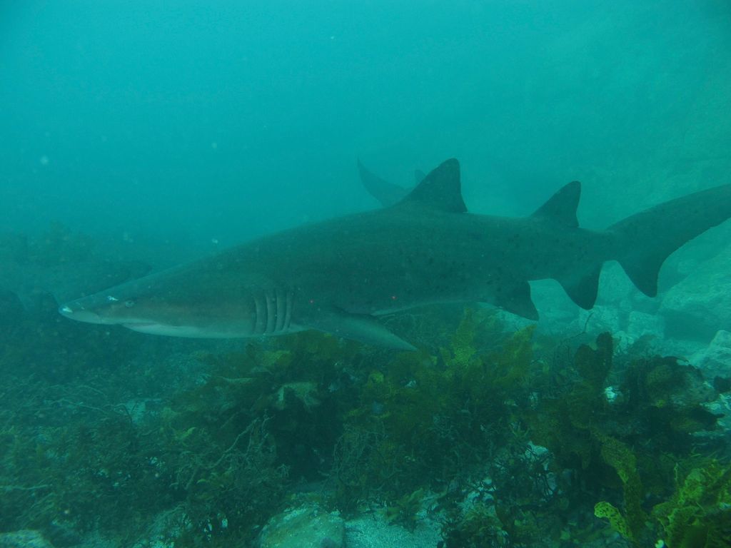 d19fbfc3-ba4e-45f3-b0a7-52411d57cfc6