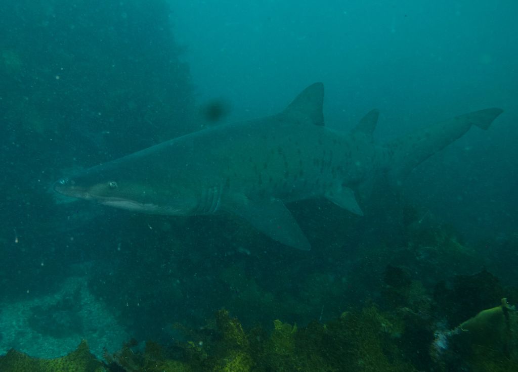 ee267511-f066-49a7-9a6a-b1a8a9e7ed9c