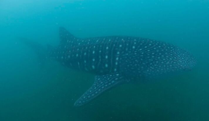 e8ac1942-af05-4ce7-87ba-1cff3e737f03