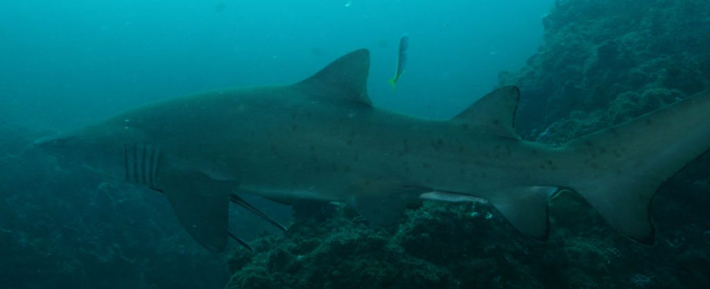 bc982baf-fb64-43ab-99d6-8446116aac95