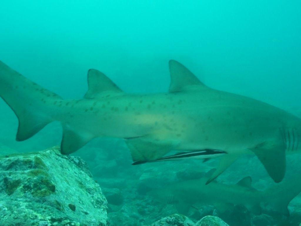 9095aa25-bf24-46d5-8c1a-cd38b8cd1e57