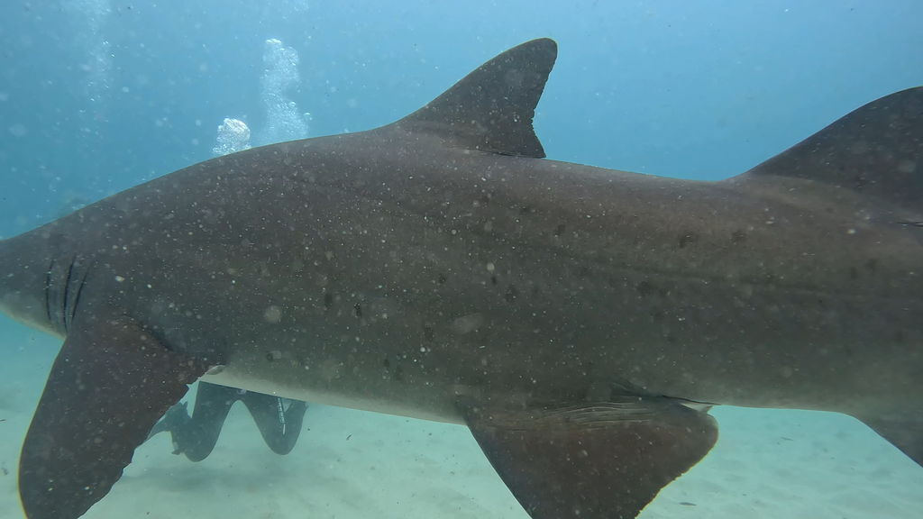 7e55bf54-e018-40a1-af8f-1241f2169a70