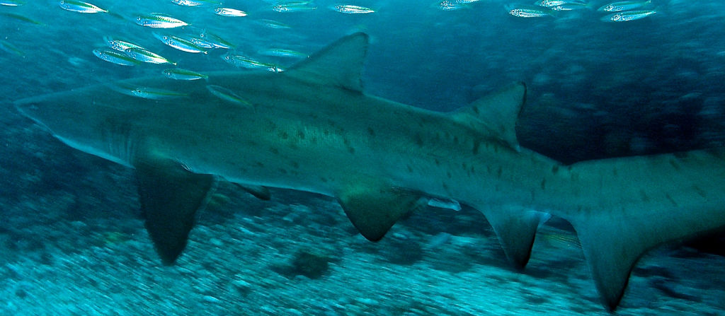 96ec4604-ce13-4f5b-ba0c-16a125fcb905