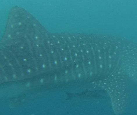 16bff513-bfdd-4cf4-9599-d50f720291d5