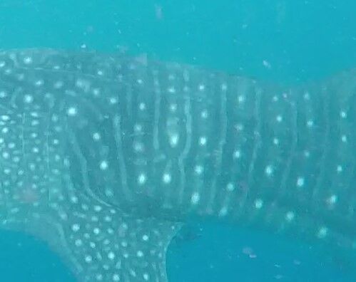 16bff513-bfdd-4cf4-9599-d50f720291d5