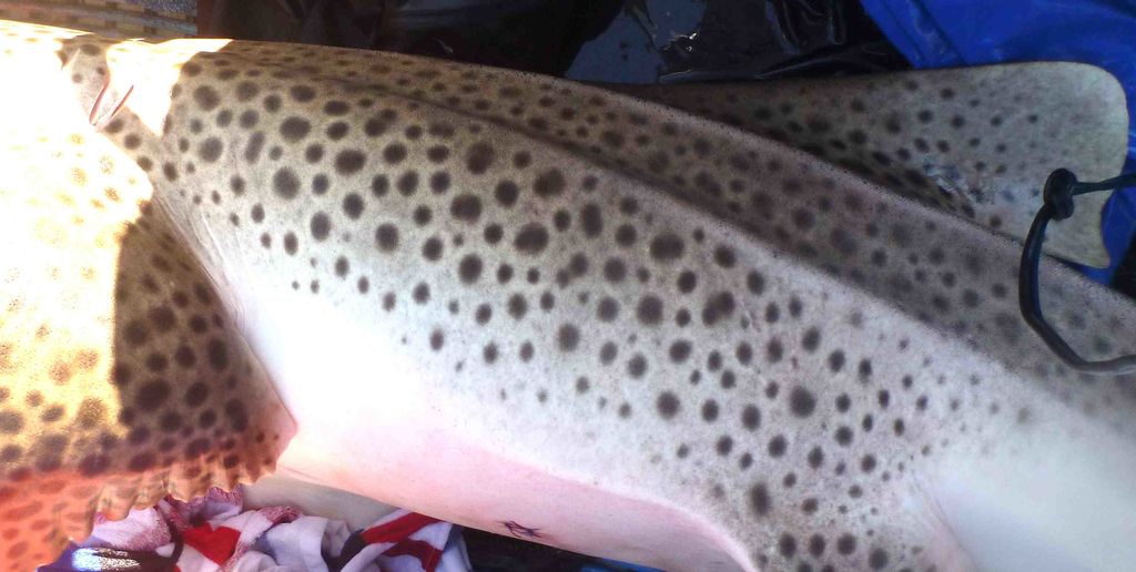 ddb06915-7ece-4c7c-8db9-b115e7f38ea7