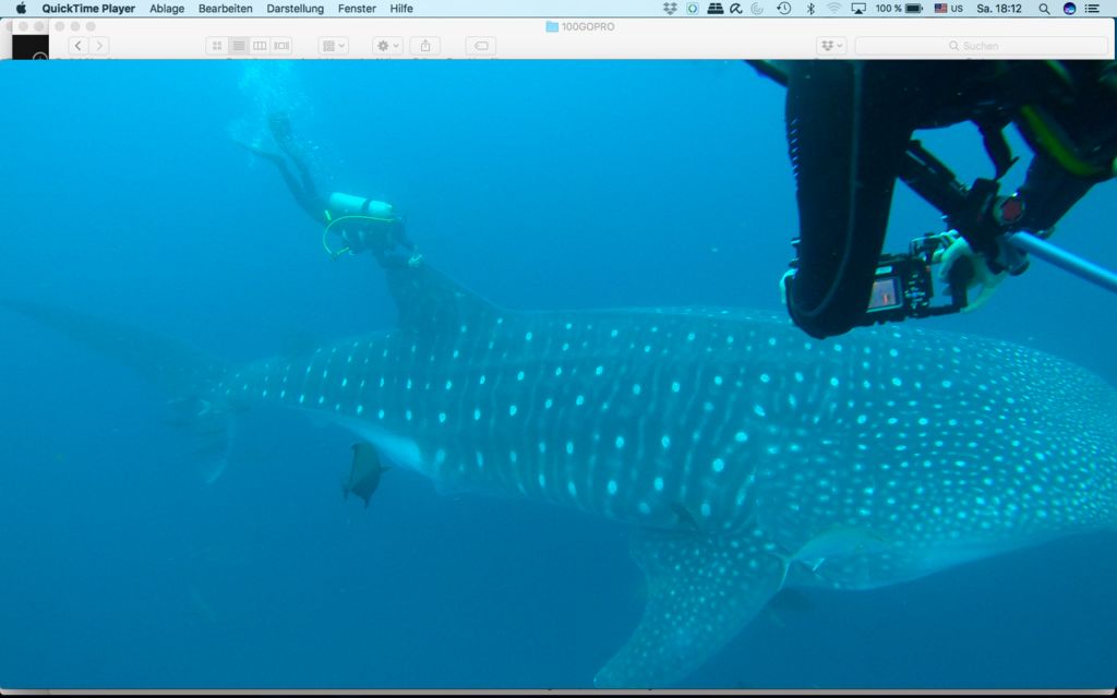 e2d02e24-8976-45c1-8f48-90957fdc17b1