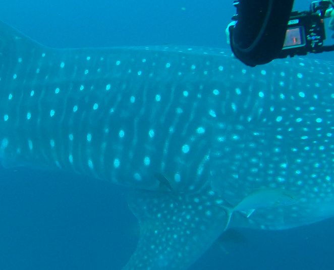 e2d02e24-8976-45c1-8f48-90957fdc17b1