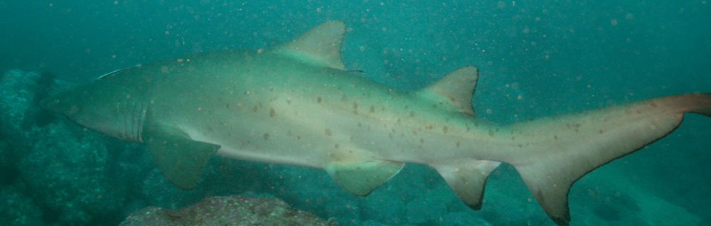 818e2344-08ad-4002-b0d0-5a91474498d5