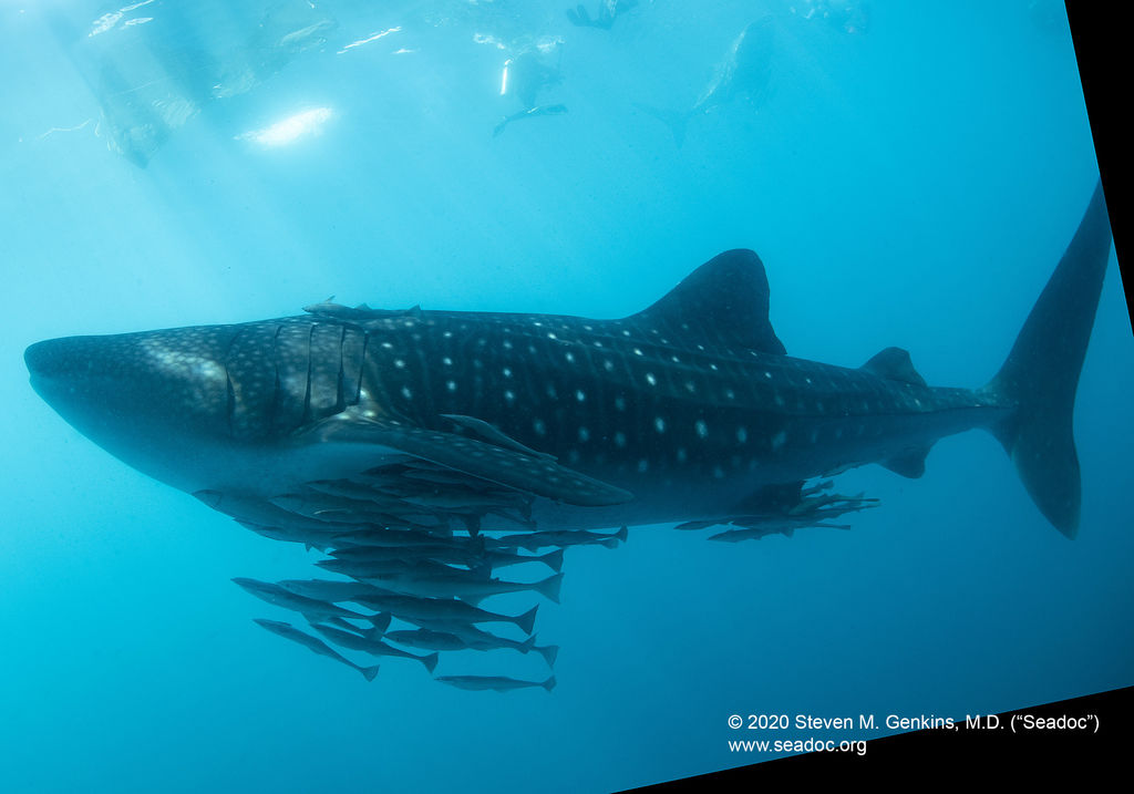 64b8926e-7518-4993-918b-d1bdf67e5ede