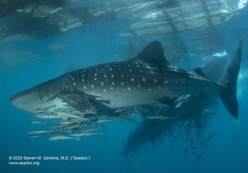 64b8926e-7518-4993-918b-d1bdf67e5ede