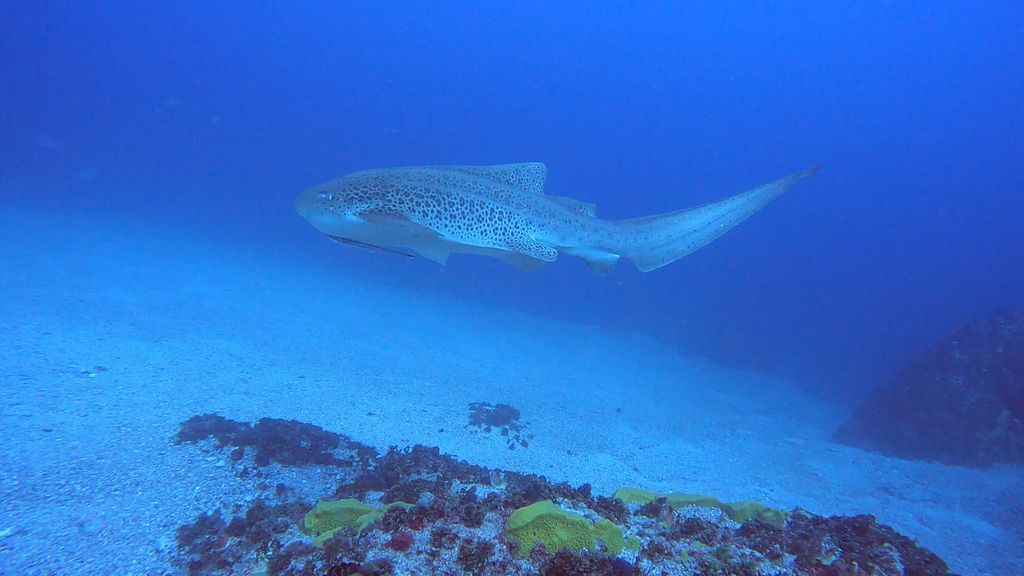 d52c1e30-1306-4de6-a069-eb8125556c32