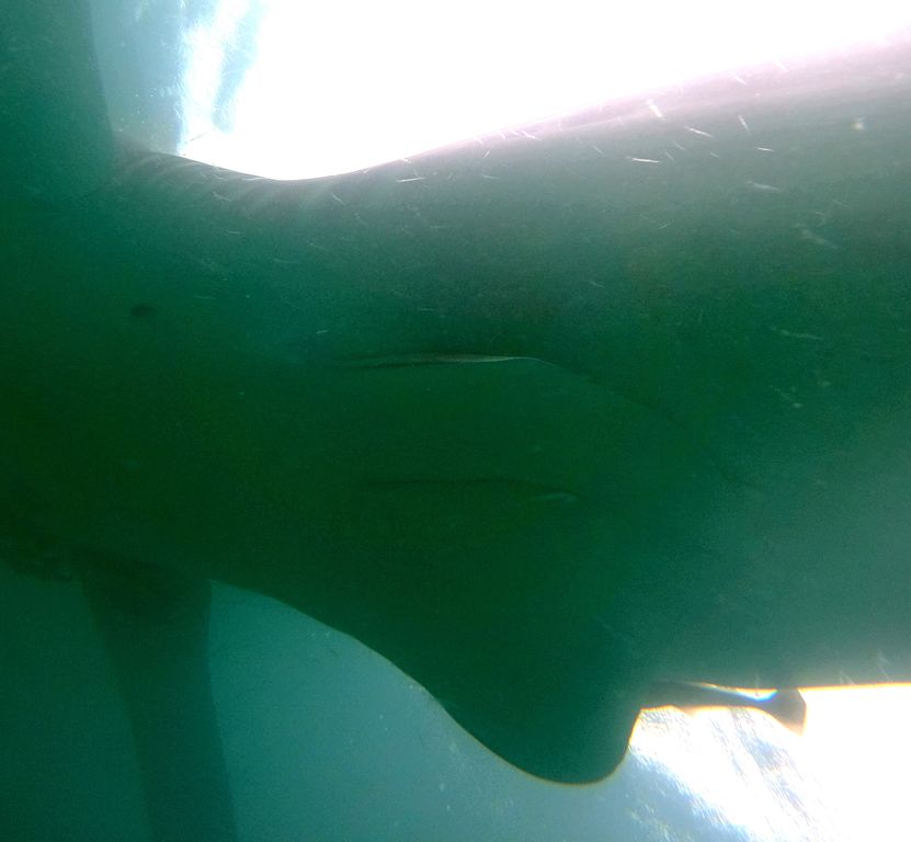 8ce6fb47-3d06-4e06-a528-2d721f58e155