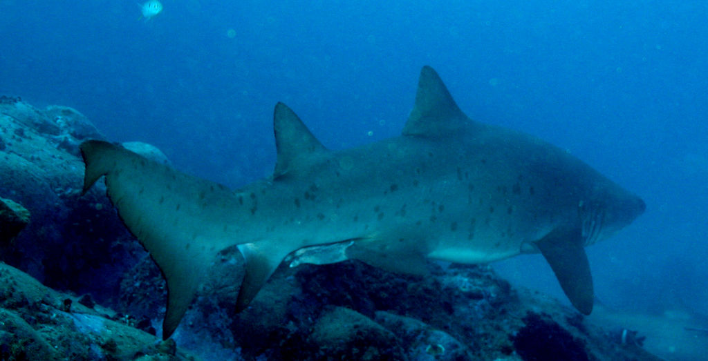 b01b76be-1b01-4d47-ac6b-38f047ec234d