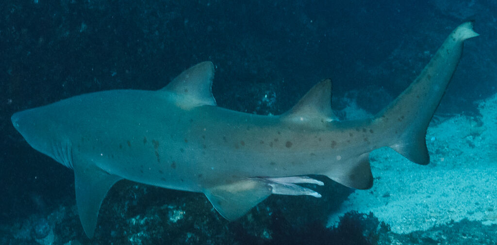 5748f54a-9cde-49a6-ad83-578f65cfe41b