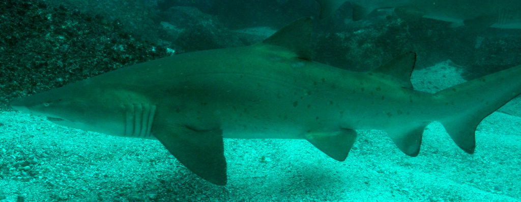 a8be17a1-ea7e-4ce3-adb5-5fb3796172f9