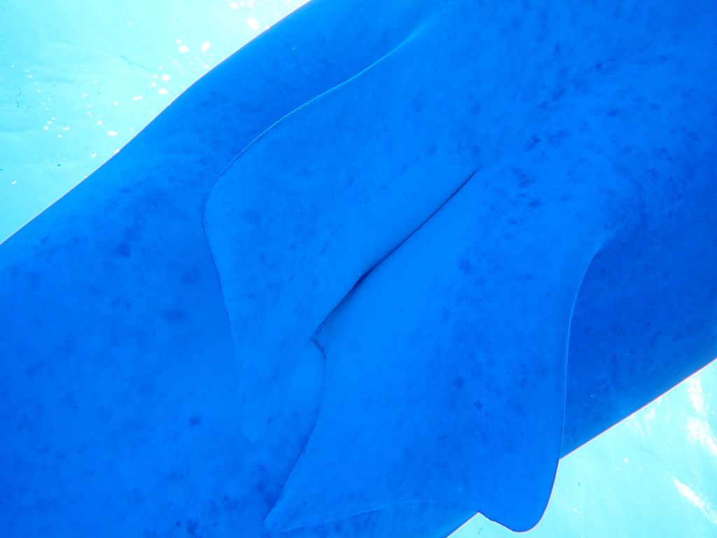 b5c86c1f-2974-4fd5-84a8-2f9a815c2a18