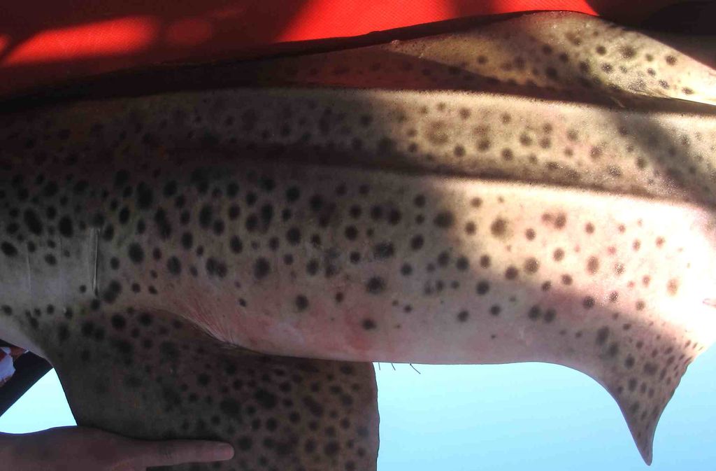 9f062e85-d70e-4396-99e6-2a12b69d6c14