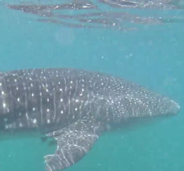 3752e5ff-e02d-4b56-be5d-df0dc1b794e8