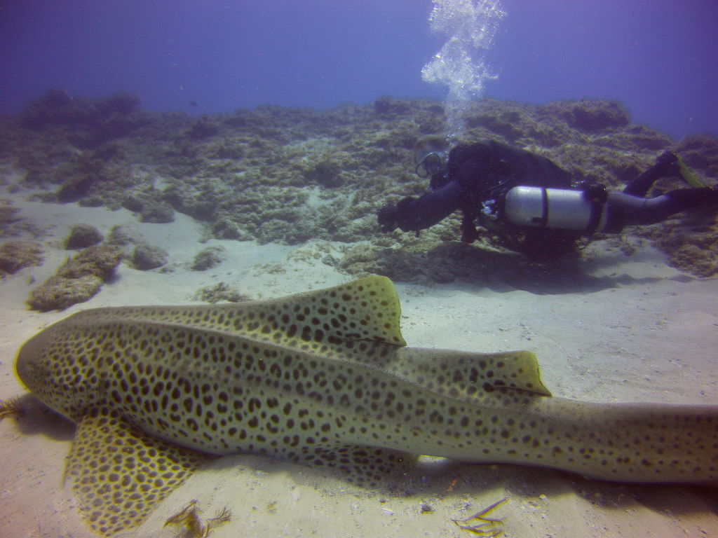 a8c0a623-ba24-474b-a92e-fce3210d4813