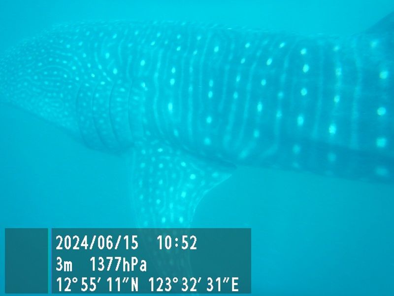 418ba799-3298-42a4-b6b1-41dc9bffdc65