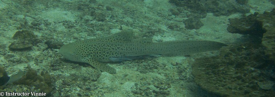 f09bc64a-4e2e-4e1d-9e2d-b3a005827de7