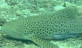 f09bc64a-4e2e-4e1d-9e2d-b3a005827de7