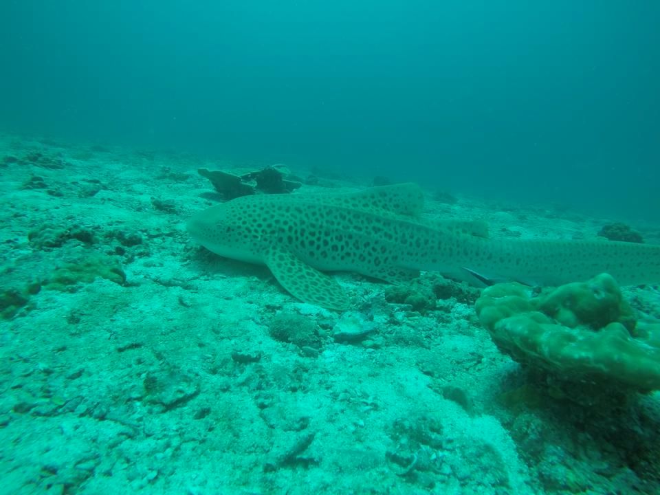 f09bc64a-4e2e-4e1d-9e2d-b3a005827de7