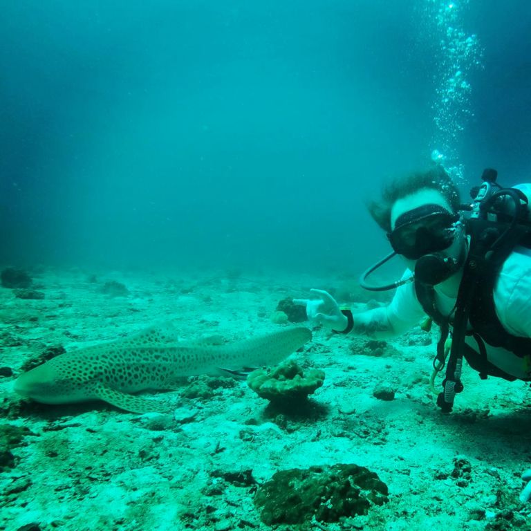 f09bc64a-4e2e-4e1d-9e2d-b3a005827de7