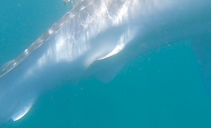 fc6c0e53-cec4-4b5b-96eb-a2b122331122