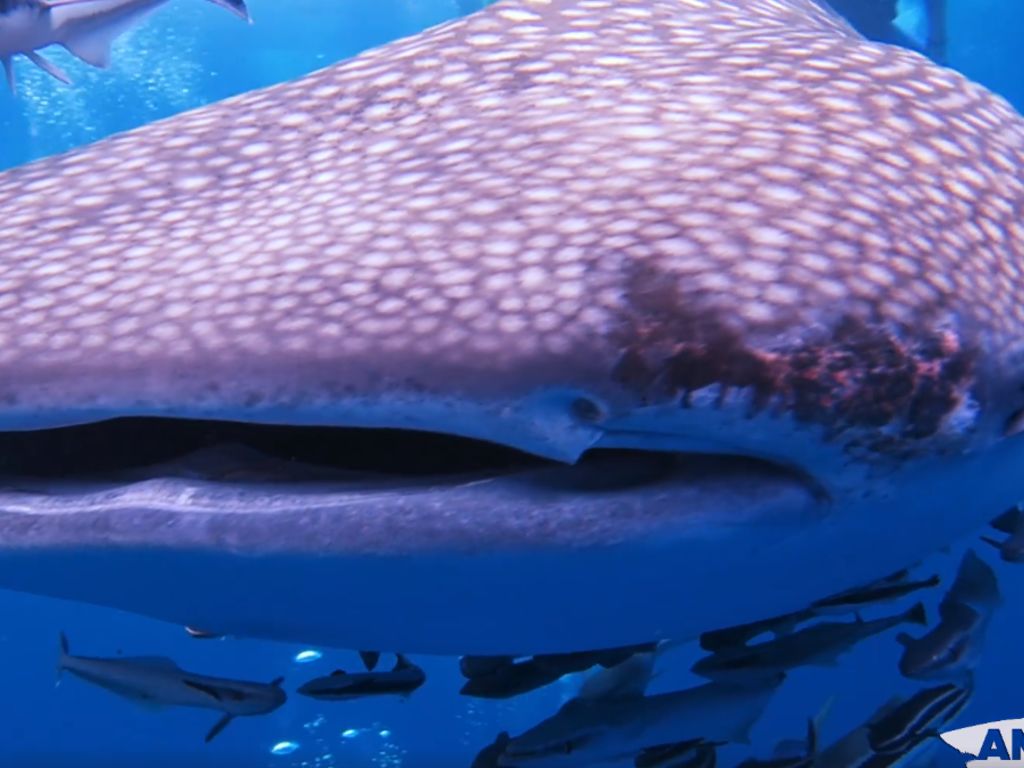 1e44bc7d-7e43-4a6d-82d1-7a3e0e5efae1