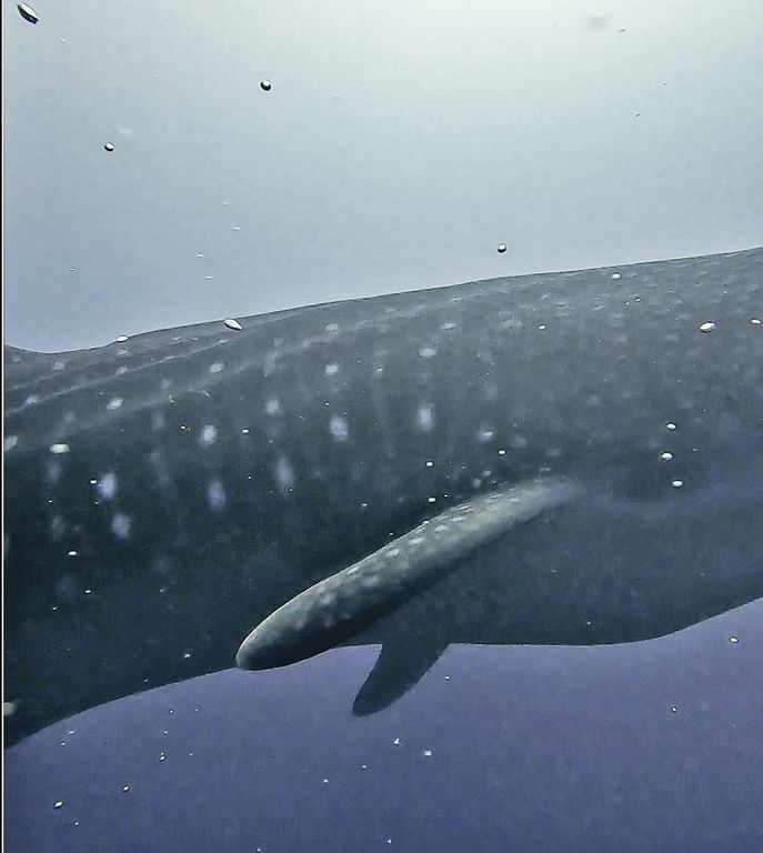 40be85be-6e85-408c-b1f3-ee5f40b00bcb