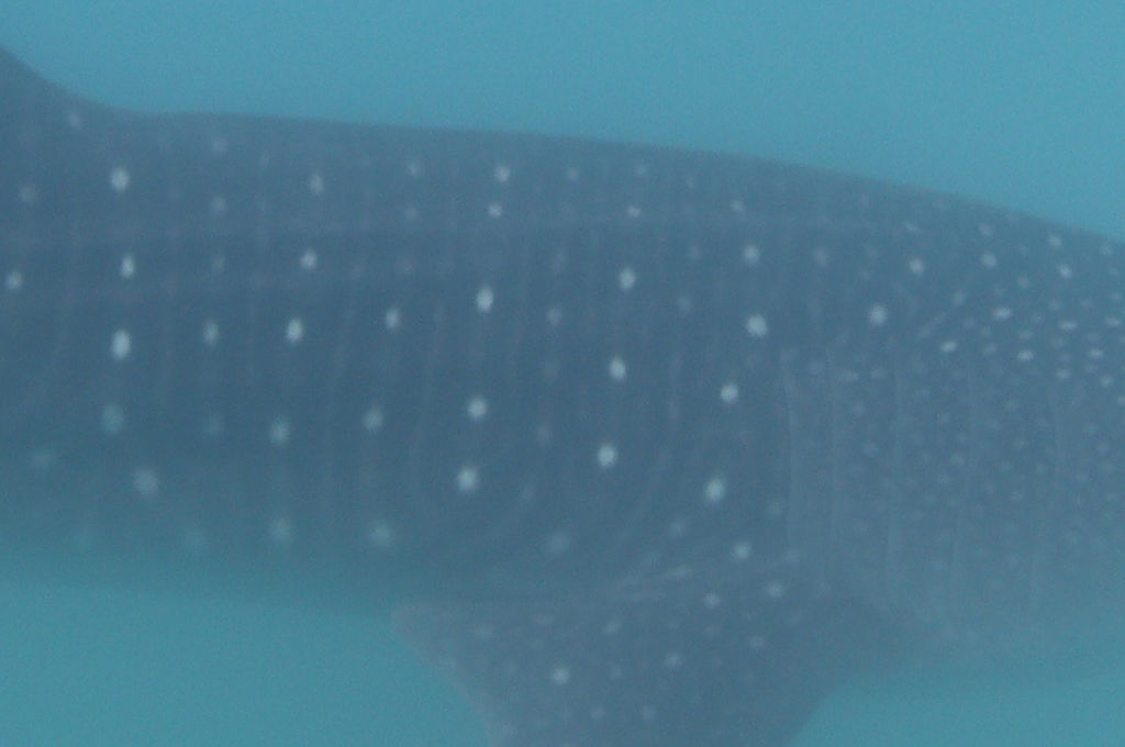 3d780a95-3183-4e0e-b61e-71c5e19efa4e