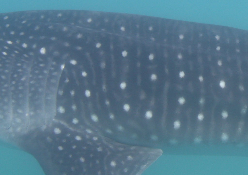 3d780a95-3183-4e0e-b61e-71c5e19efa4e