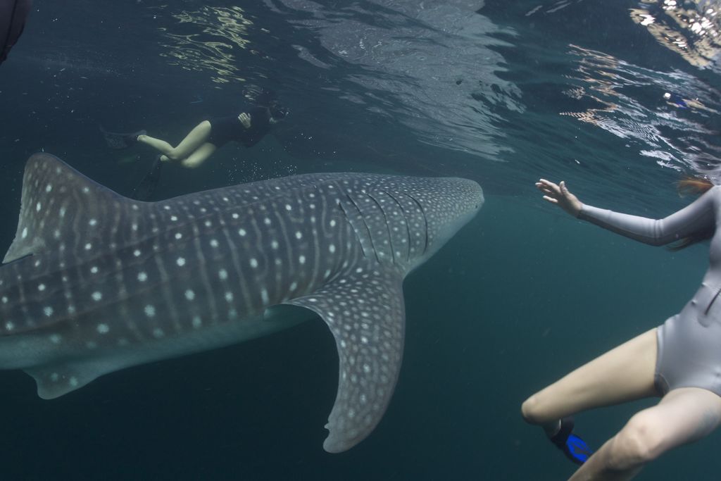 d6d4c1bd-56e5-40a8-a8b5-ca976eae7554