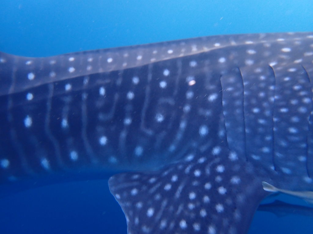 03ddf151-2c41-4382-bb3e-33746a820e98